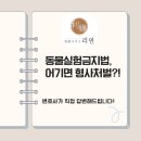 법률사무소리연 이미지