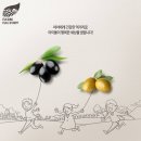 (주)올바른팜 이미지