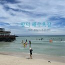 함덕 숨어있는집 | 제주 함덕 해수욕장 - 맛집 함덕 숨어있는집 제주 소노벨 스위트