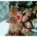 프리티풀 이미지