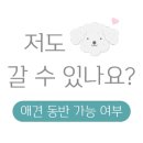 바둑이 애견 이미지