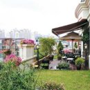 테라스하우스 이미지