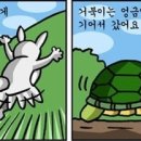 토끼와거북이 이미지