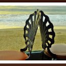 해변의집 이미지