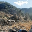 건강한 아리농장 이미지