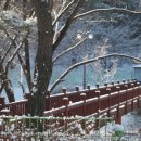 스며들가 이미지