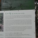 삼양검은모래해변 이미지