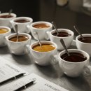 기초로스팅과 향미분석과정 이미지