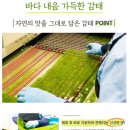 전통시장갯마을협동조합 이미지