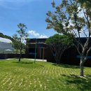 옐레드 애견유치원 & 애견호텔 진주초전점 이미지