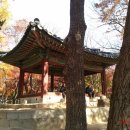 춘 문 네이버블로그