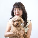 성남 애견촬영 하비스튜디오｜수진역 반려견 프로필 촬영 후기