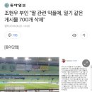 조현우 부인 "딸 관련 악플에, 일기 같은 게시물 700개 삭제" 이미지