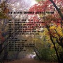 11월16일(토)정기여행,"함양상림과 서암정사" 낙엽여행 안내(종료) 이미지
