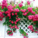 장주농장 이미지