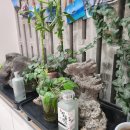 (주)탐라수산 이미지