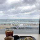 바움하우스