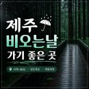 강정동-13 | 7월 제주 장마 여행☔ 비 오는 날 제주 여행 코스 추천 (2일차)