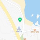 몬띠 | 스파펜션 강원도 숙소 [몬띠] 오션뷰 논뷰 산뷰 트리플뷰! 애견인 환영!