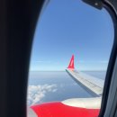 소계약국 | 1박 2일 제주도에서 스노쿨링하기(금능, 월령포구, 판포포구 후기)