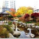 동편마을 4단지 앞 이미지