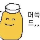 제부도펜션벚꽃