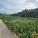 해남교차로  마산교차로 이미지