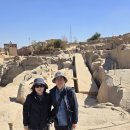 빛사랑태양광발전소(주) | 이집트 여행 3일차[2/24], 필레(이시스)신전, 미완성 오벨리스크, 콤옴보 신전