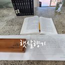 태백산맥길 이미지