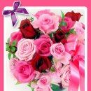 제주여자중학교 이미지