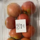 리취8로마 이미지