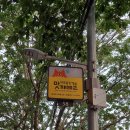 마포걷고싶은길3코스 이미지