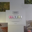 The Nail (더 네일)