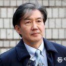 [김순덕 칼럼]우리는 이미 ‘조국의 바다’에 빠져 있다 이미지