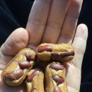 와촌(포항)휴게소 이미지