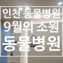9월의 소원 동물병원 이미지