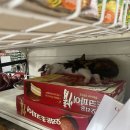 곰할인마트2 이미지