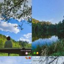 석광농장 이미지