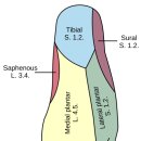 서울안아픈세상의원 이미지