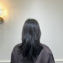 웜헤이즐