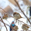 곰사냥을떠나자펜션 이미지