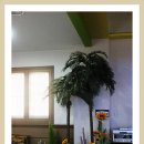 오션스파 이미지