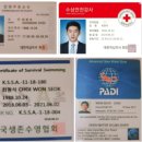 대구수영개인강습