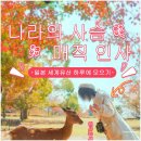 나라투어