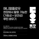 동핏 이미지