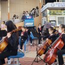 빛가람초등학교 티스토리