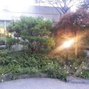 곤지한정식 이미지