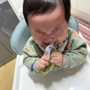 과일총판