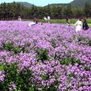 보라노래방 이미지