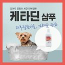 광진프라자약국 이미지